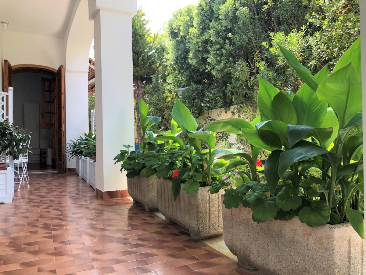 B&B Il Villino Torre Dell'Orso Dış mekan fotoğraf